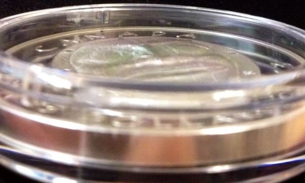 2013-$25-Pure-Silver-Coin---Grandmother-Moon-Mask