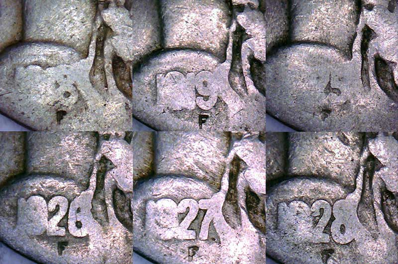 Identifying-Dateless-1925-Buffaloes-By-Ribbon-Morphology