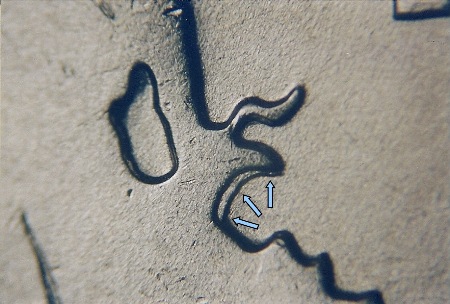 2009-Virgin-Islands-25c...-A-Couple-Of-DDRs?
