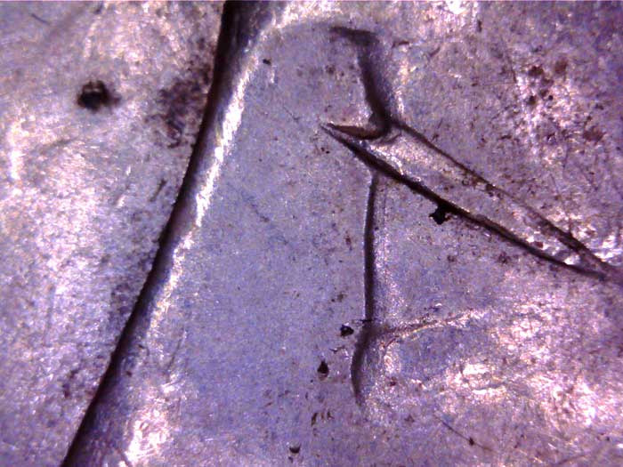 1900-P-VAM24-Or-VAM11?