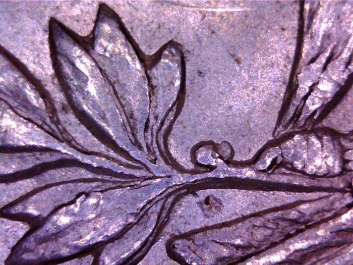 1900-P-VAM24-Or-VAM11?