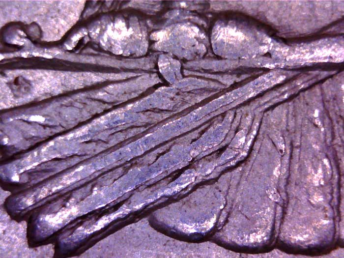 1900-P-VAM24-Or-VAM11?