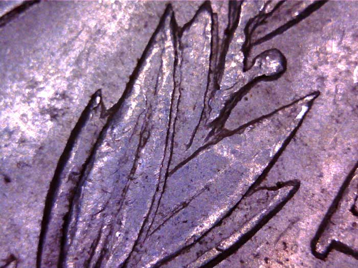 1900-P-VAM24-Or-VAM11?