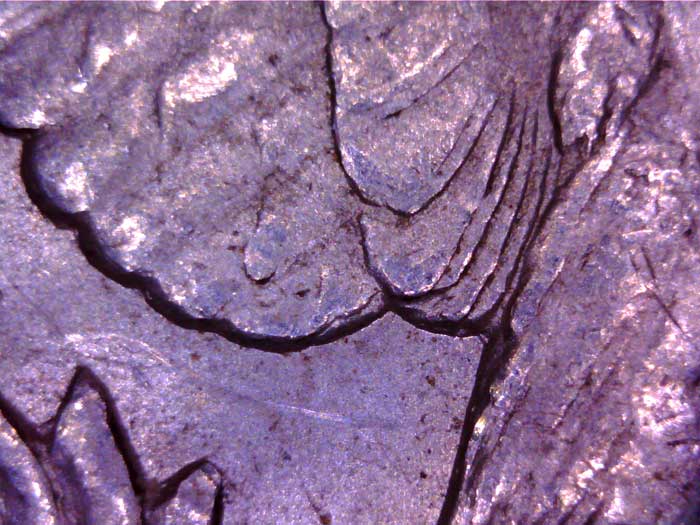 1900-P-VAM24-Or-VAM11?