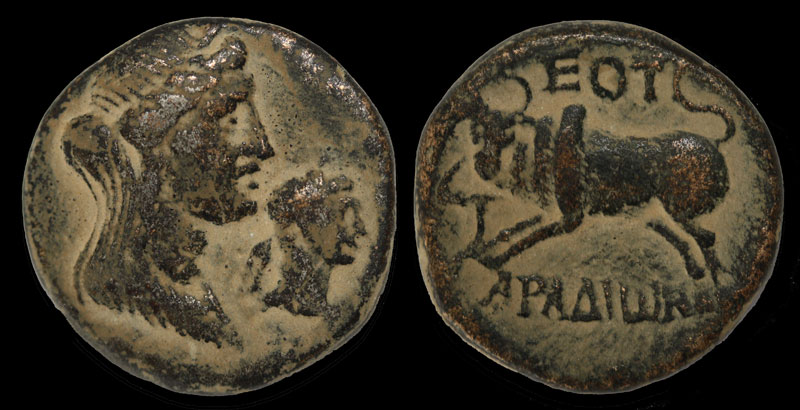Trajan-With-Astarte-On-Obverse,-I-Found-One!