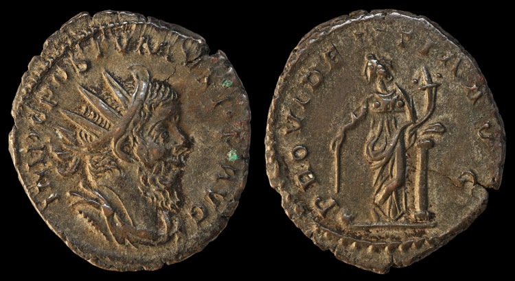 More-From-Tif's-Folly-Mixed-Lot,-The-Better-Imperials