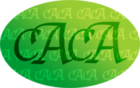 [humor]--New-Ancient-Coin-Certification-Company!