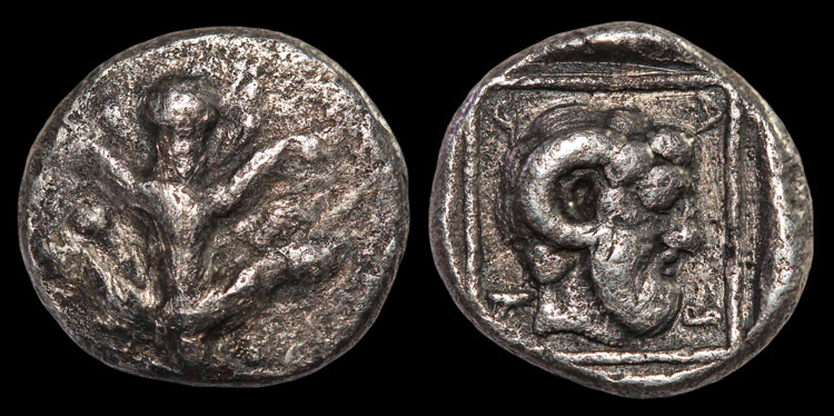 A-Rare-Coin-With-An-Extinct-Plant