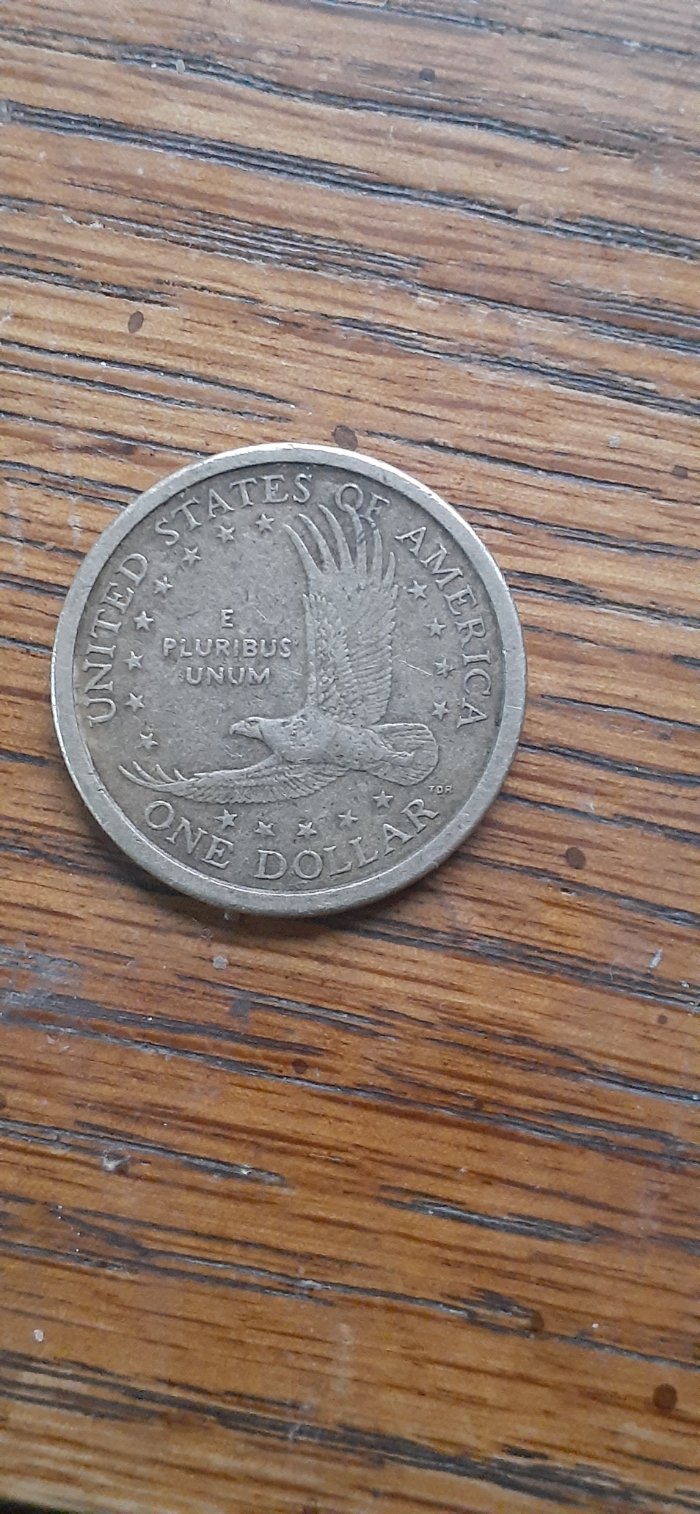 2000-D-Sacagawea-Collar?-Cut-Out-?-Pls-Hlp