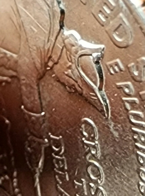 2021-P-Quarter-Error,-Can-Anyone-Confirm-?