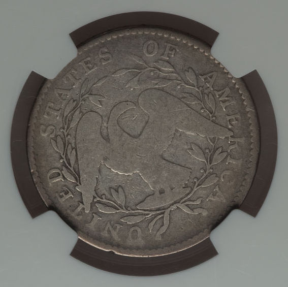 You-Vs.-NGC:--1795-Half-Dollar