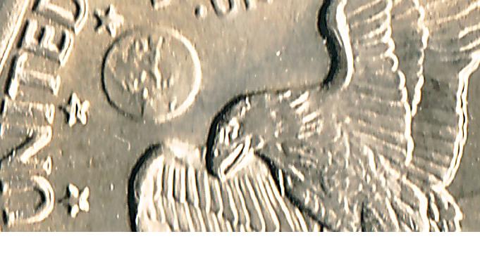 SBA-1979-D-Star-Struck-Eagle?