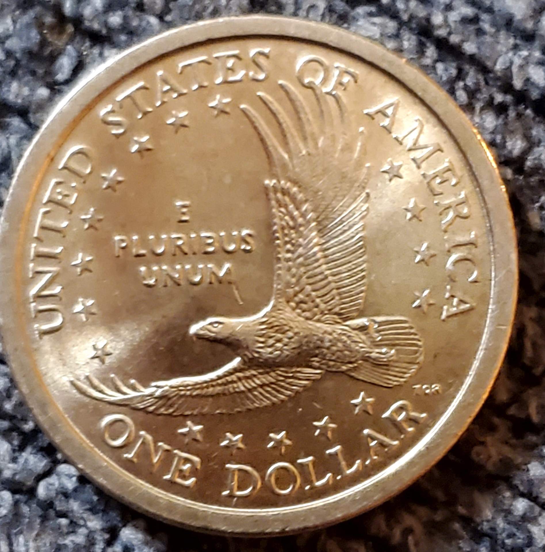 2000-P-Sacgawea-Dollar,-Newbie-Seeking-Feedback-On-Possible-Error/S