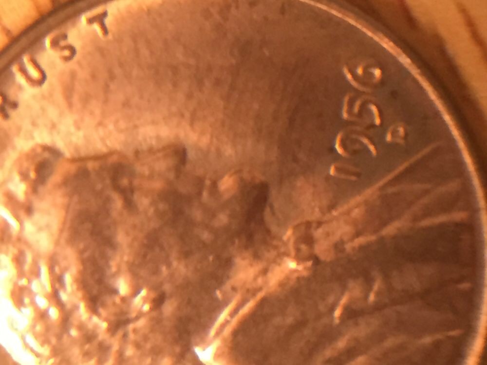 1956-D/D?