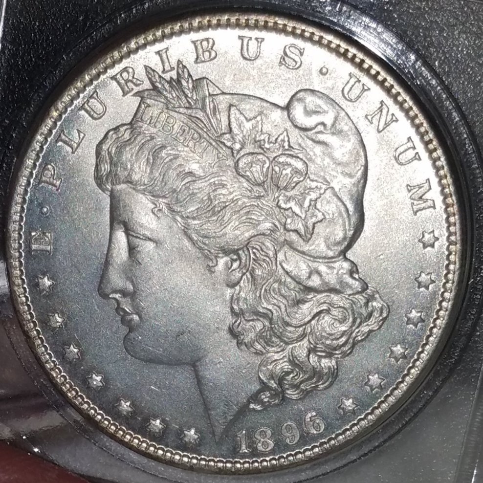 1896-Morgan-Silver-Dollar-For-Grading