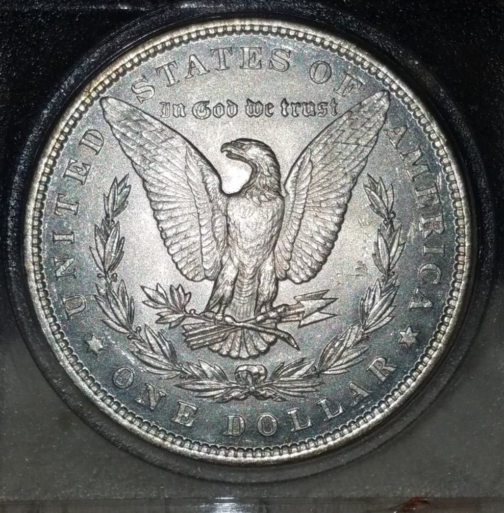 1896-Morgan-Silver-Dollar-For-Grading