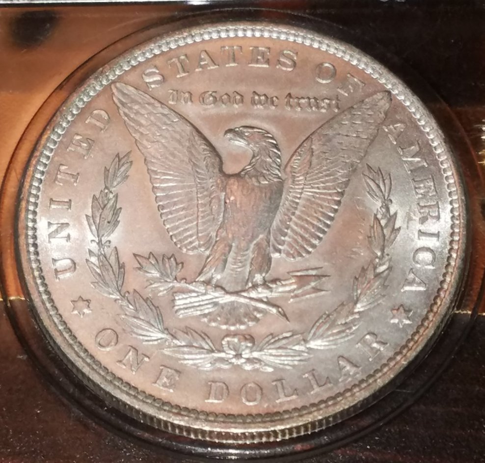 1896-Morgan-Silver-Dollar-For-Grading