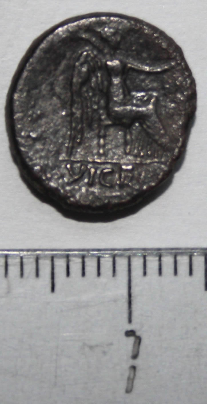 Correct-Identification?