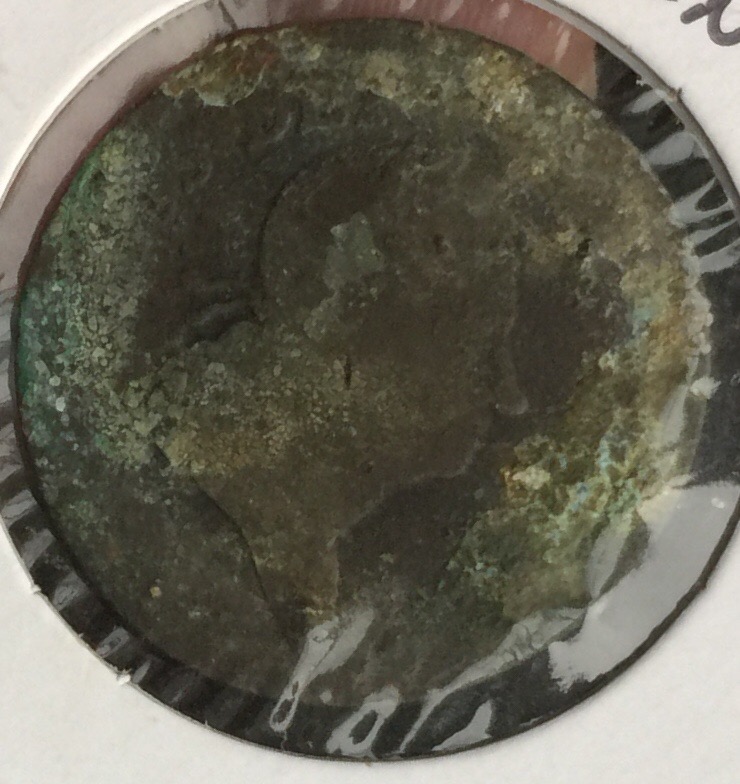 1722?rosa-Americana-Penny.-I-Believe