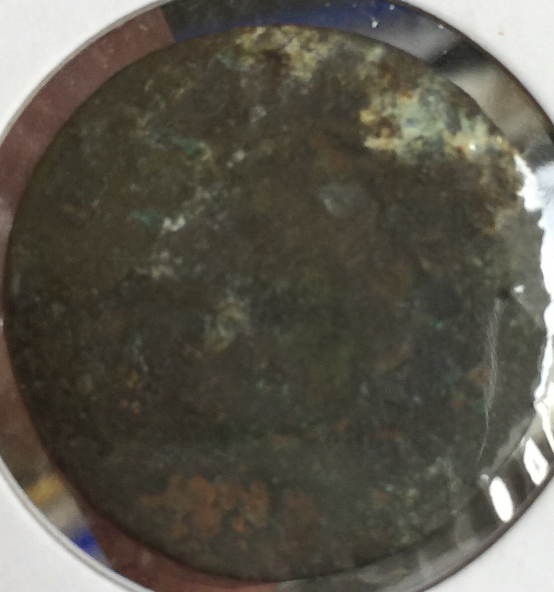 1722?rosa-Americana-Penny.-I-Believe