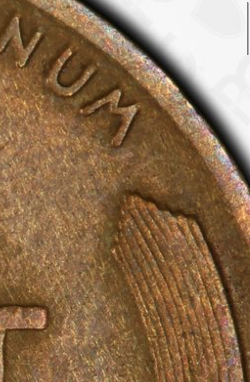 PCGS-Grading-Cleaned-Coins