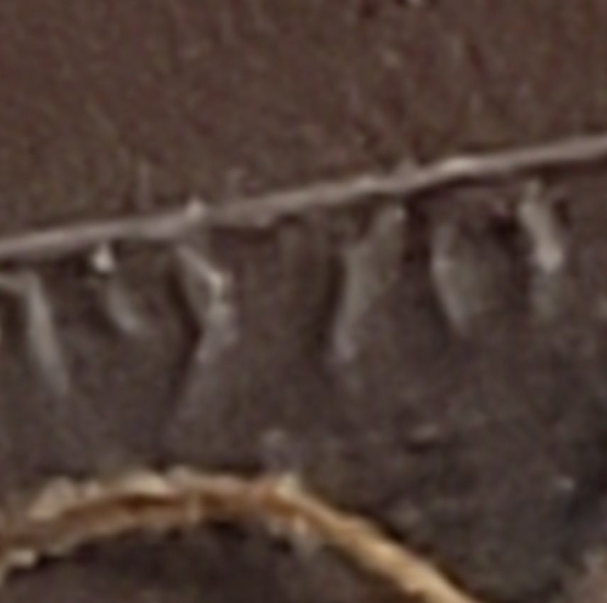I-Think-It's-A-Small-Date.-1970-S-2.92g