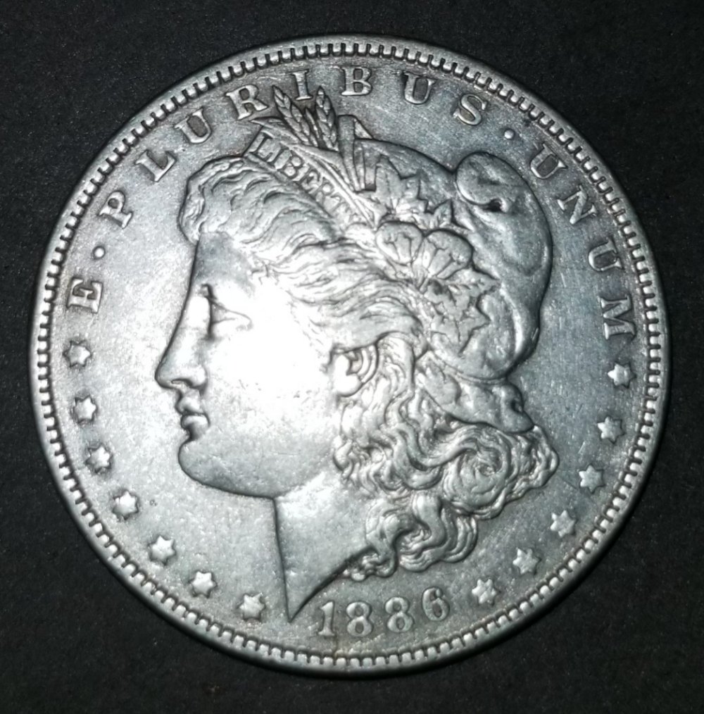 1886--Morgan-Dollar.-Learning-Curve.