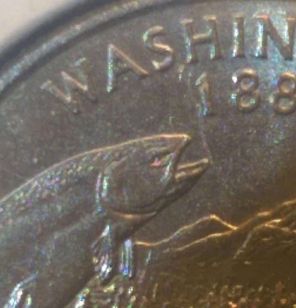 Washington-State-Quarter-Error