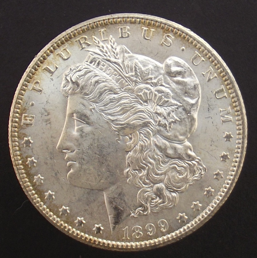 Morgan-Dollar-1899---O---For-Grading,-MS?