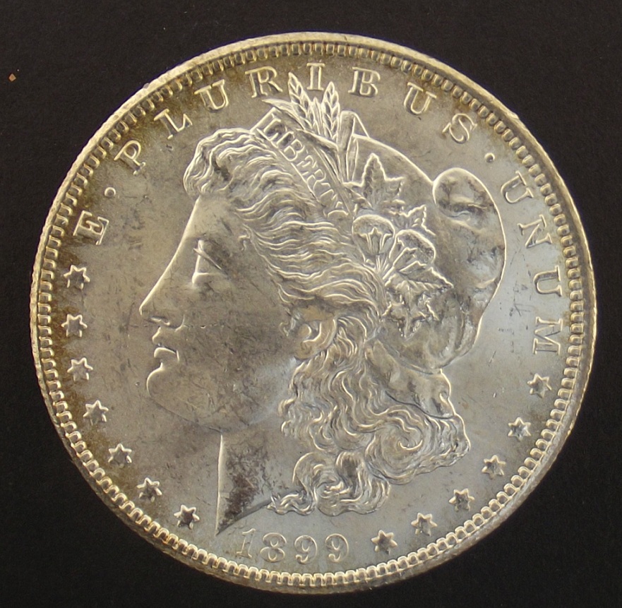 Morgan-Dollar-1899---O---For-Grading,-MS?