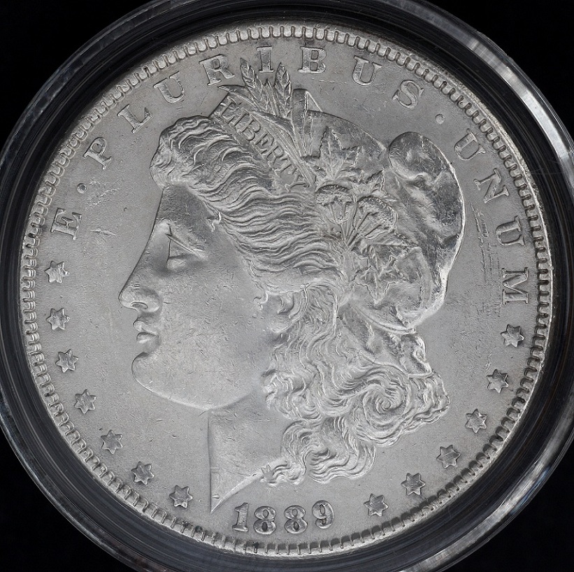 Grading-Opinions-Of-This-Lovely-1889-Morgan-Dollar-?