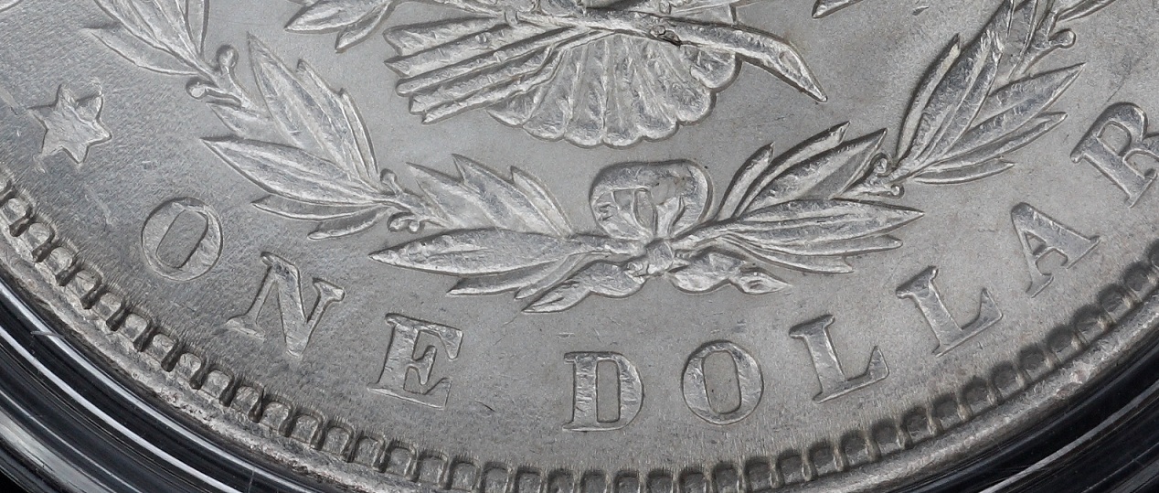 Grading-Opinions-Of-This-Lovely-1889-Morgan-Dollar-?