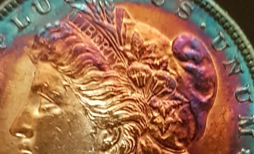 1889-Grade-Opinions?-Morgan-Dollar