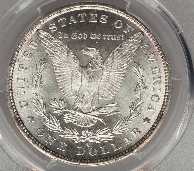 1880-S-Morgan-Dollar---You-Vs-Pgcs