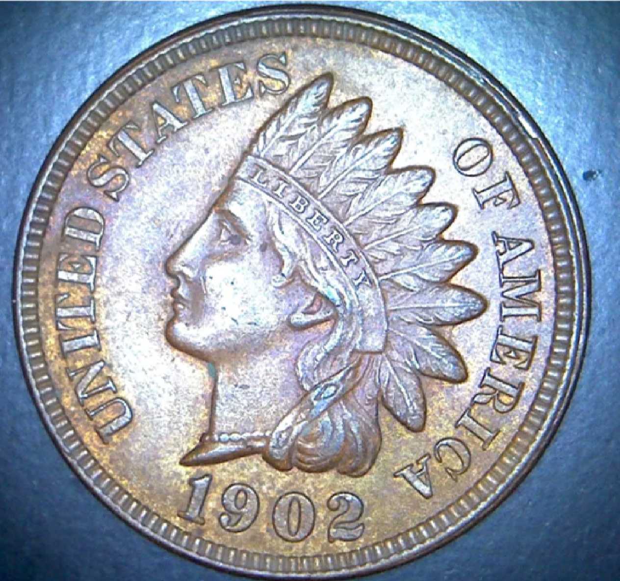 How'd-I-Do?--1902-Indian-Head-Penny-Picked-Up-For-$5.50