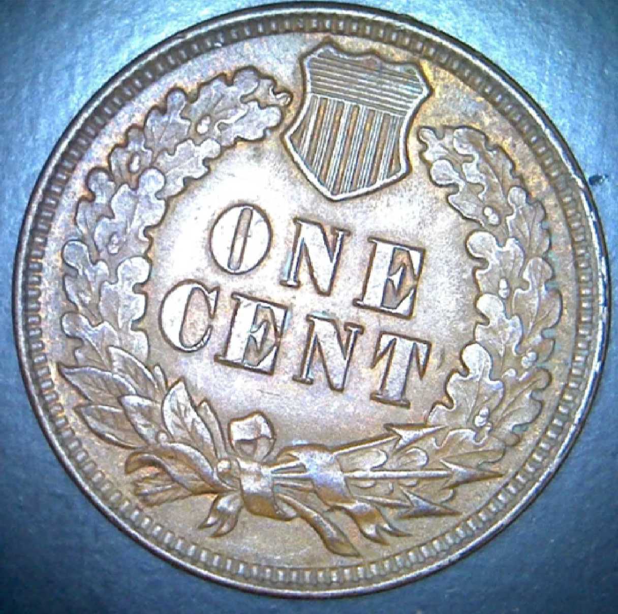 How'd-I-Do?--1902-Indian-Head-Penny-Picked-Up-For-$5.50