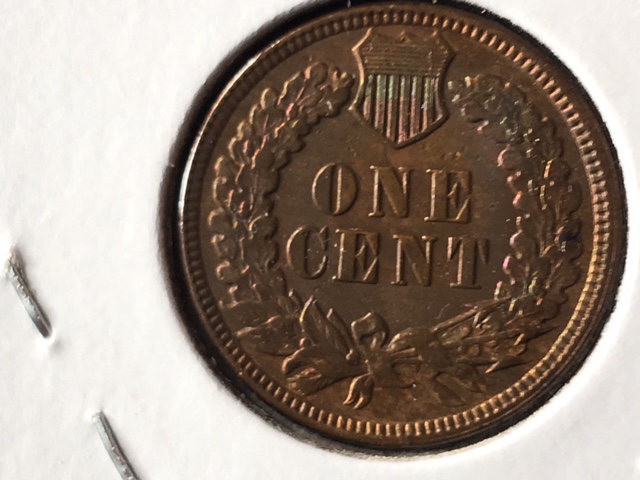 1889-Indian-Cent--Artificial-Toning?