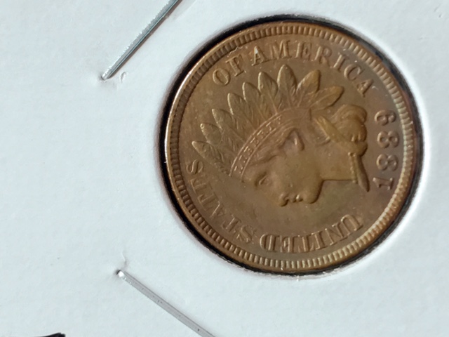 1889-Indian-Cent--Artificial-Toning?