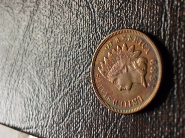 1889-Indian-Cent--Artificial-Toning?