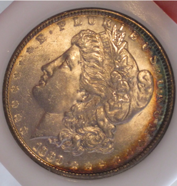 1889-Morgan-For-Grading...at-Or-Nt