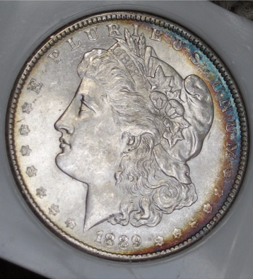 1889-Morgan-For-Grading...at-Or-Nt