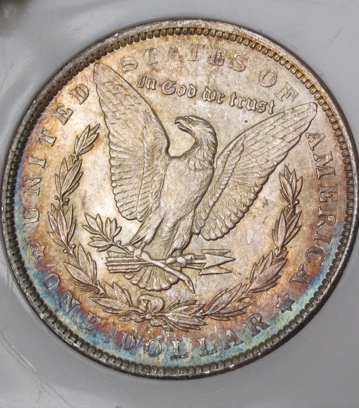 1889-Morgan-For-Grading...at-Or-Nt