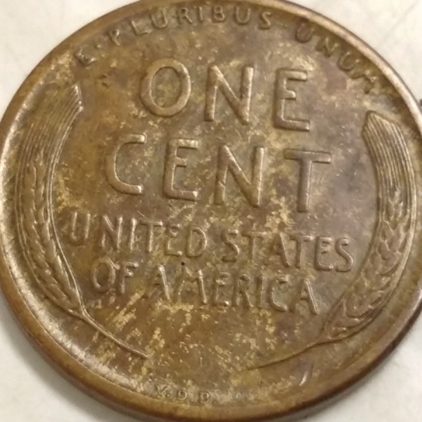 Is-This-S-VDB-A-Details-Coins?-Or-A-Woody?