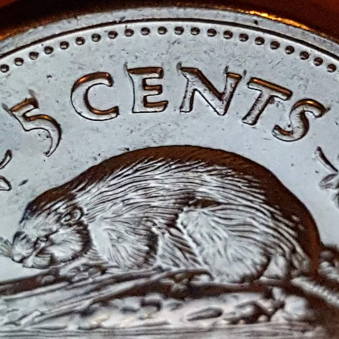 1939-Nickel-Double-Clash-/-2000-P-Nickel-Doubling-+-Horns-On-Most-Letters?