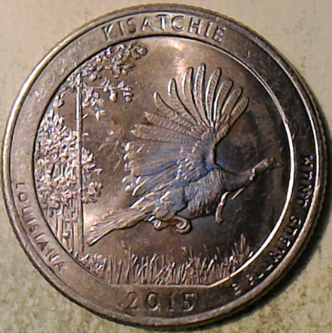 2015-P-Louisiana-Kisatchie-Die-Cracks?