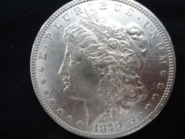 Couple-New-Morgans