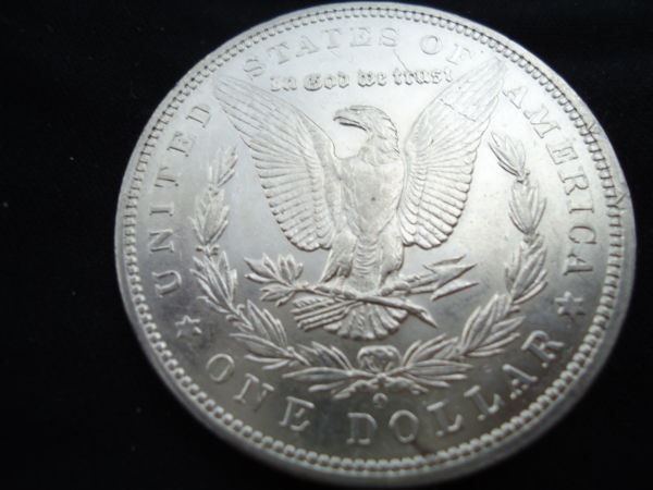 Couple-New-Morgans