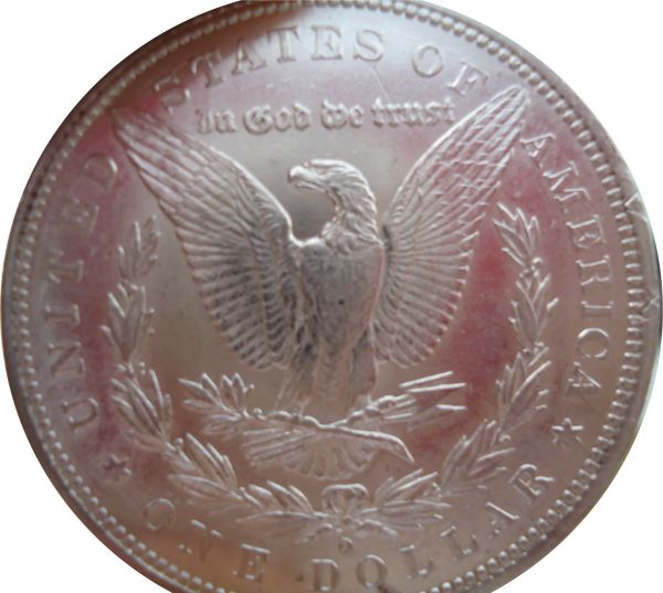 Couple-New-Morgans