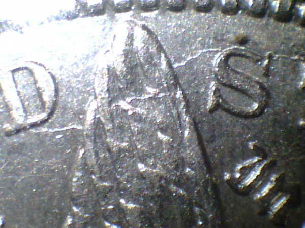 Couple-New-Morgans..