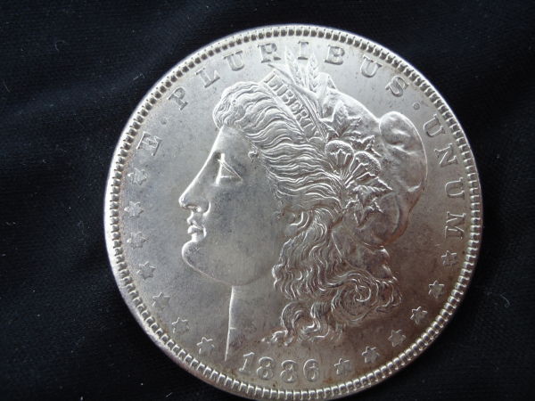 Couple-New-Morgans